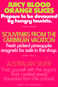 Harry Pro Font Family