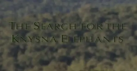 Animal Planet - Seach for the Knysna Elephants (2015)