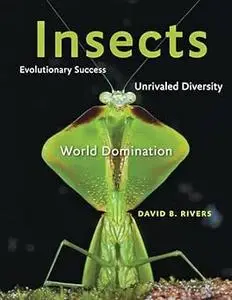 Insects: Evolutionary Success, Unrivaled Diversity, and World Domination