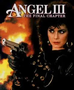 Angel III: The Final Chapter (1988) [w/Commentary]