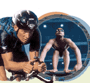 Crosstrainer 5