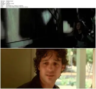 Fading of the Cries (2008)