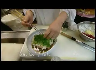 Food Safari Japanese Food
