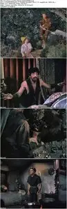 The Flame and the Arrow (1950)