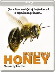 More Than Honey (2012)