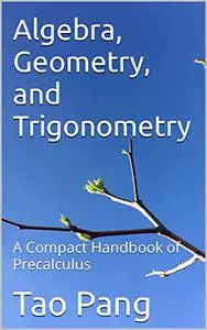 Algebra, Geometry, and Trigonometry: A Compact Handbook of Precalculus