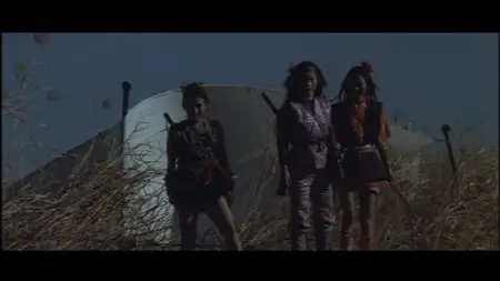 The Naked Seven / Sengoku rokku hayate no onnatachi (1974) [Re-UP]