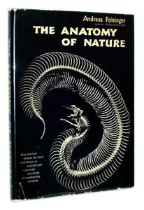 The Anatomy of Nature: How Function Shapes the Form and Design of Animate and Inanimate Structures Throughout the Universe