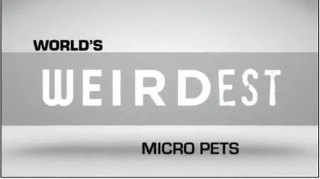 National Geographic - World's Weirdest Pets: Micro Pets (2015)