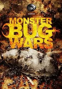 Discovery Channel - Monster Bug Wars (All 5 Episodes) (2011)