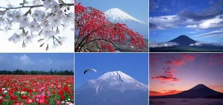 Datacraft Sozaijiten Vol. 037 - Mount Fuji, Cherry Blossoms