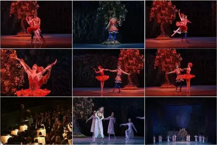 Stravinsky and the Ballets Russes - The Firebird / Le Sacre du Printemps [DVD9] (2009) "Reload"