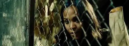 Colombiana (2011)