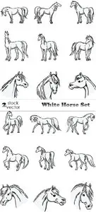 Vectors - White Horse Set