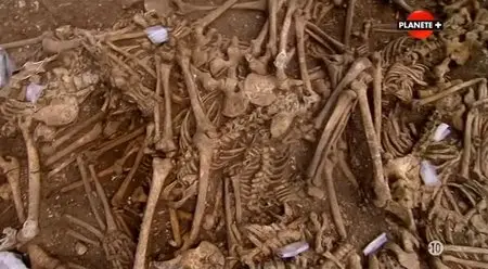 (Planète) Vikings, les mystères d'un massacre (2014)