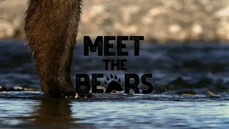 BBC - Natural World: Meet the Bears (2019)