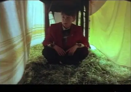 Hin helgu vé / The Sacred Mound (1993)