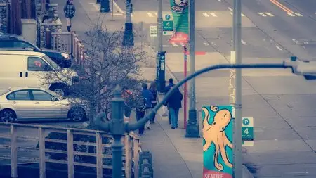 Seattle: The Emerald City (2015)