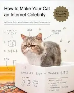 How to Make Your Cat an Internet Celebrity: A Guide to Financial Freedom