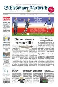 Schleswiger Nachrichten - 12. März 2019