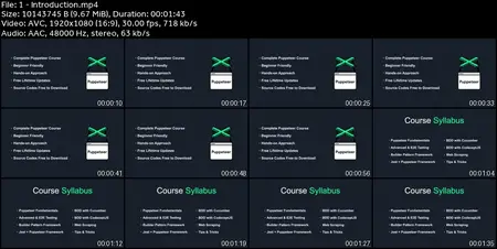 Automated  Software Testing with Puppeteer