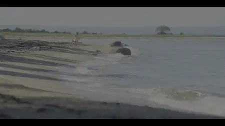 Sirens S01E04