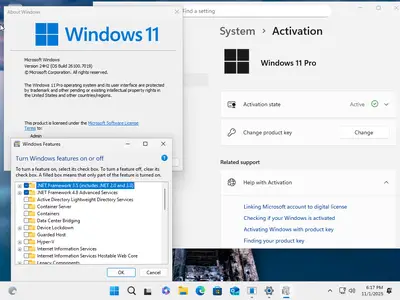 Windows 11 Pro 25H2 Build 26200.7019 (No TPM Required) Multilingual Preactivated