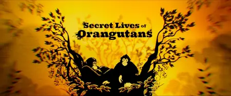 Secret Lives of Orangutans (2024)