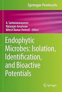 Endophytic Microbes: Isolation, Identification, and Bioactive Potentials