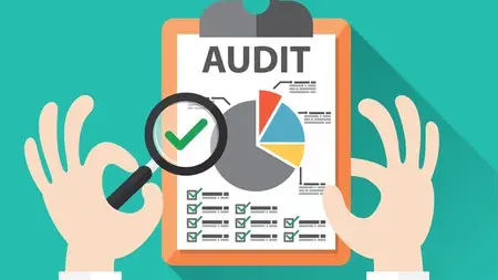 Become an External Auditor - External Audit Process Level 1