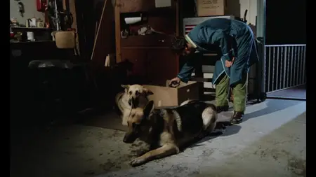 Dracula's Dog (1977)