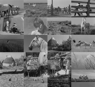 White Mane (1953) [The Criterion Collection]