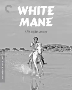 White Mane (1953) [The Criterion Collection]