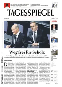 Der Tagesspiegel - 22 November 2024