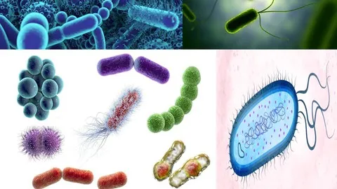 Basics of Microbiology
