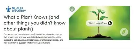 Coursera - What a Plant Knows (Tel Aviv University)