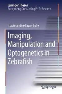 Imaging, Manipulation and Optogenetics in Zebrafish