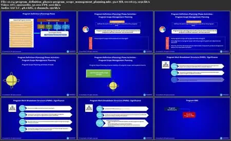 Program Management Professional (PgMP) Exam Prep Course