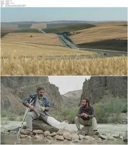 Hit the Road (2021)