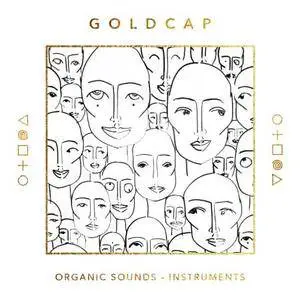Splice Sounds Goldcap - World Instruments & Vocals WAV