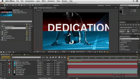After Effects CC Essential Training (Updated  2014)