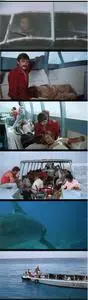 Cyclone (1978)