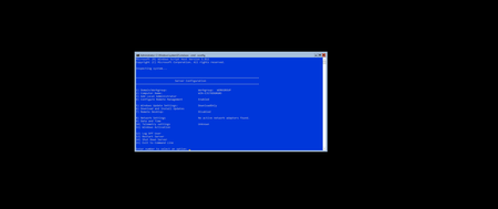 Windows Server, version 20H2 Build 19042.1052