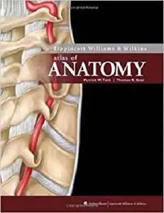 Lippincott Williams & Wilkins Atlas of Anatomy (Point (Lippincott Williams & Wilkins)) [Repost]