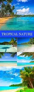 Stock Photo - Tropical Nature