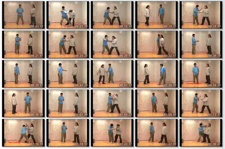 Yin Style Bagua Fighting Methods by He Jinbao - Lion System Applications