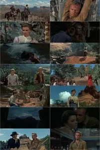 The Last Wagon (1956)