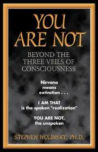 You Are Not: Beyond the Three Veils of Consciousness