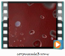 Corpuscule V. 3 For DeskScapes - WMV Format