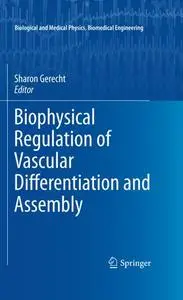 Biophysical Regulation of Vascular Differentiation and Assembly